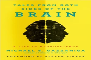 Tales from Both Sides of the Brain: A Life in Neuroscience